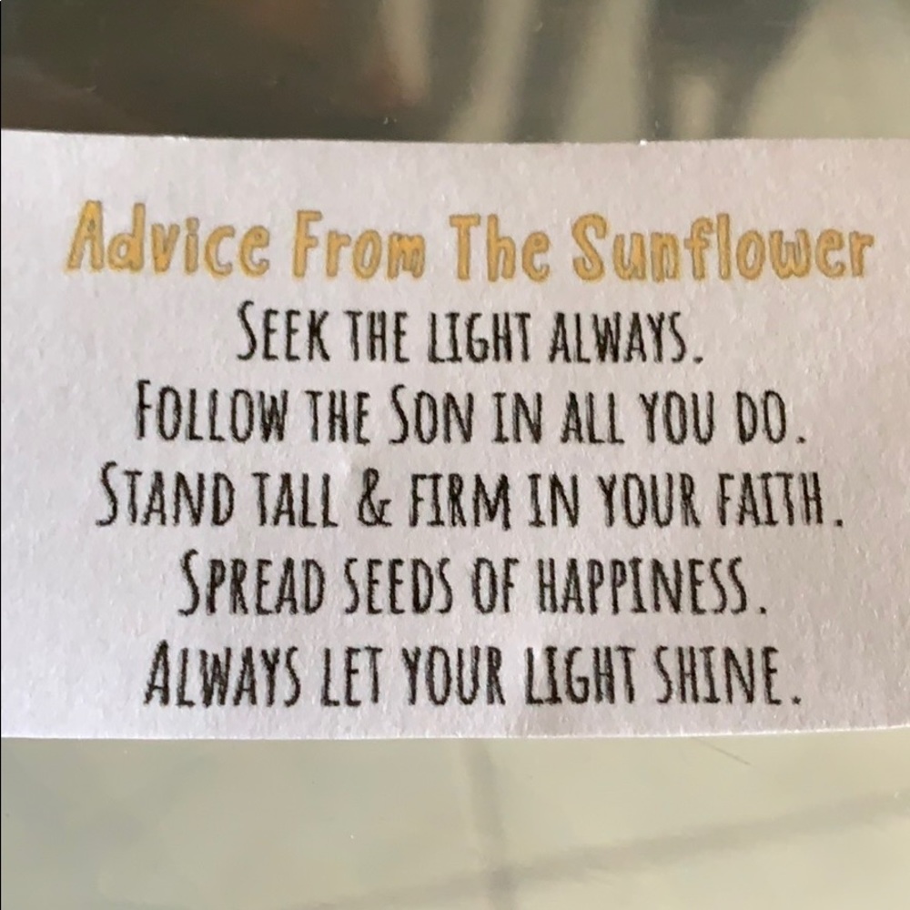 ❤️❤️❤️🌻🌻🌻❤️❤️❤️